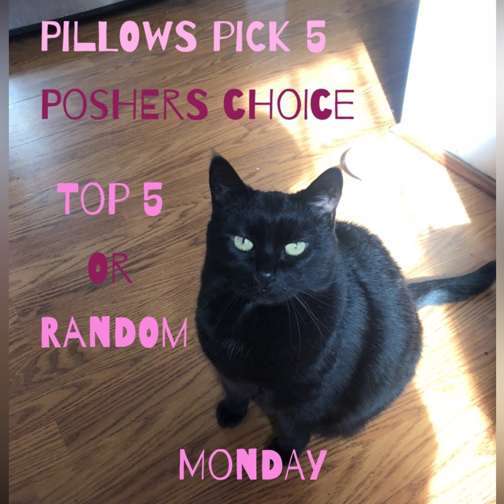 CLOSED tues is up! Pillows pick 5 - Picture 2 of 2
